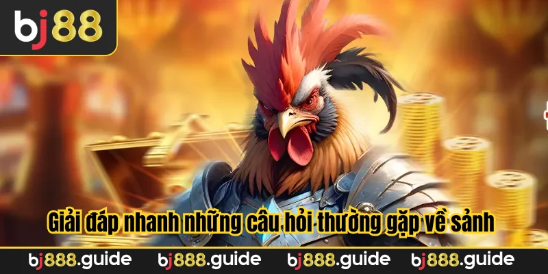 Giải đáp nhanh những câu hỏi thường gặp về sảnh game