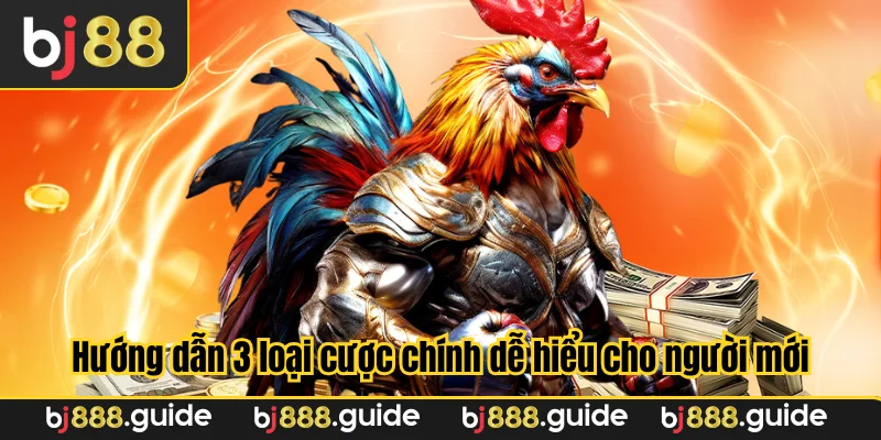 Hướng dẫn 3 loại cược chính dễ hiểu cho người mới