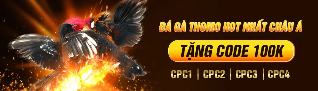 Đá gà thomo c1-c2-c3 gây cấn