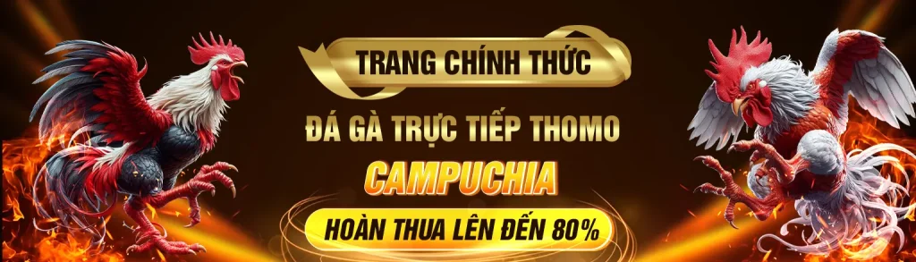 Đá Gà trực tiếp thomo campuchia Bj88