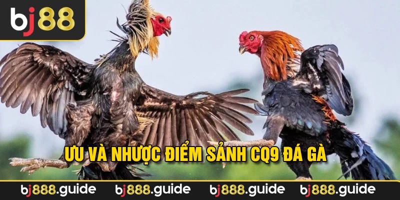 Điểm mạnh và hạn chế của sảnh CQ9 đá gà