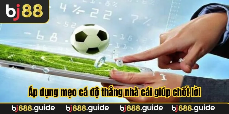 Áp dụng mẹo cá độ thắng nhà cái mang về nhiều lợi ích