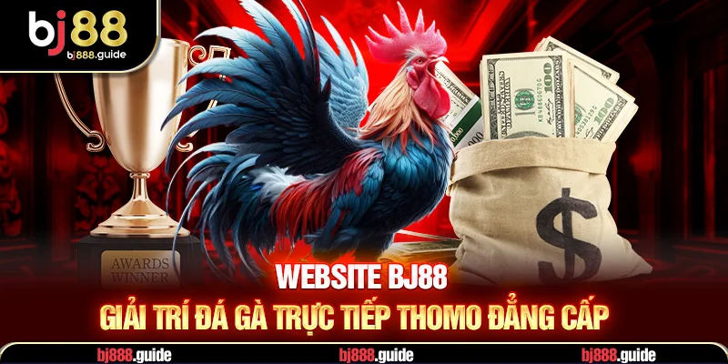 Website BJ88 giải trí đá hà trực tiếp thomo đẳng cấp quốc tế