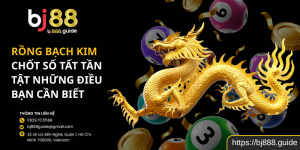 Rồng Bạch Kim Chốt Số Tất Tần Tật Những Điều Bạn Cần Biết